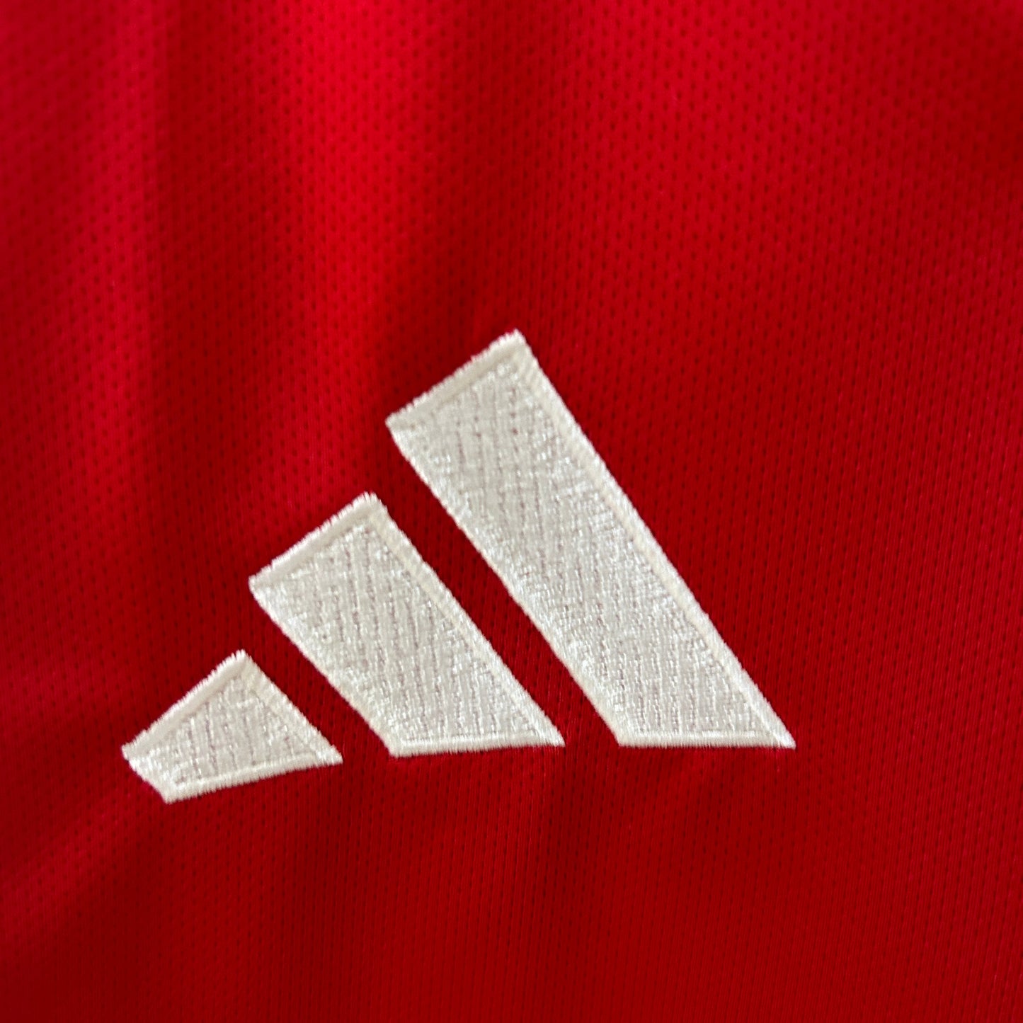 Ajax 24/25 Home (Fan)