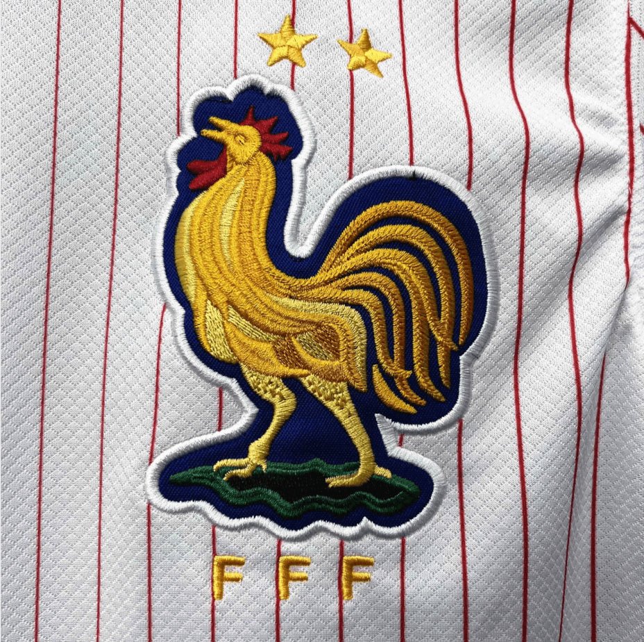 France 24/25 Away Shirt
