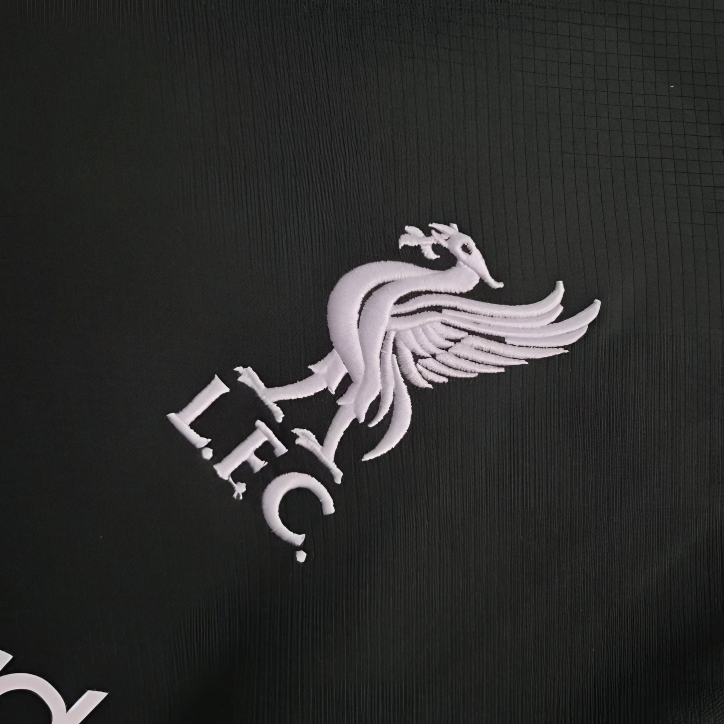 Liverpool 24/25 Away Shirt